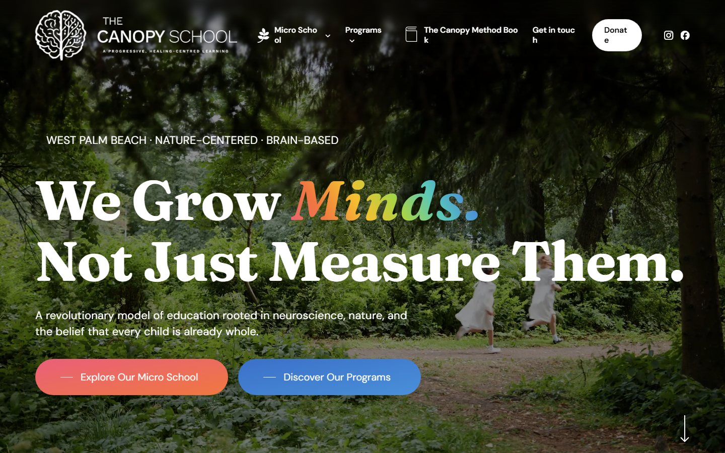 The Canopy School website